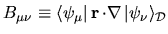 $B_{\mu\nu} \equiv \langle\psi_\mu\vert \, {\mathbf r}\,{\cdot}\nabla \,
\vert\psi_\nu\rangle_{\mathcal{D}}$