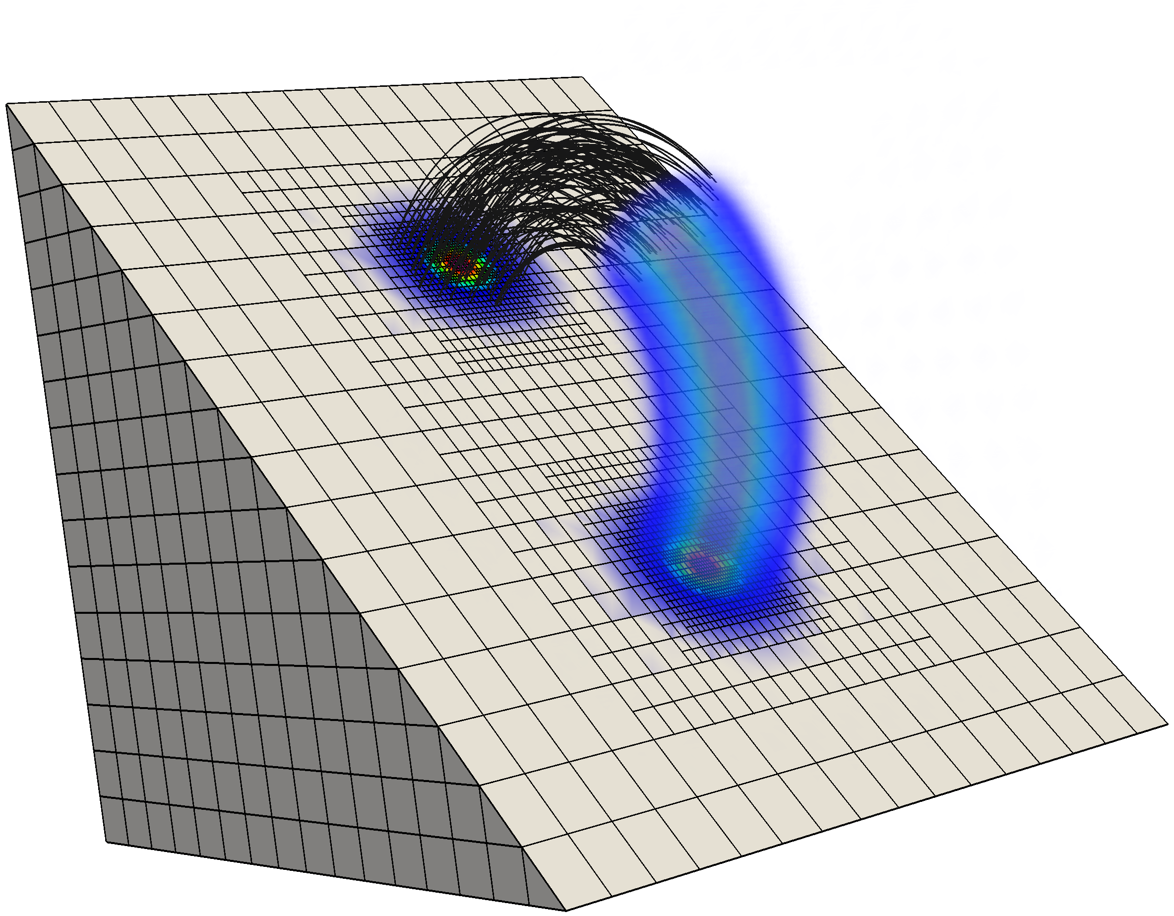 Vorticity field